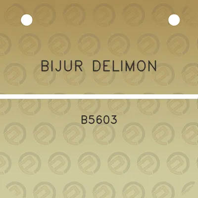 bijur-delimon-b5603