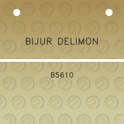 bijur-delimon-b5610