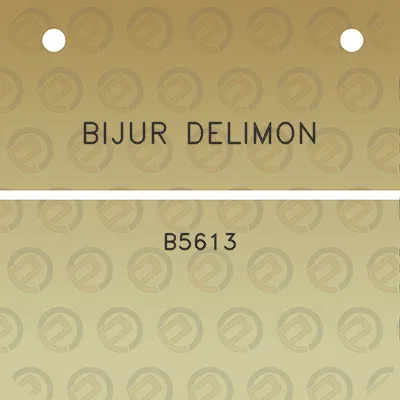 bijur-delimon-b5613