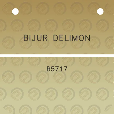 bijur-delimon-b5717