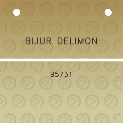 bijur-delimon-b5731