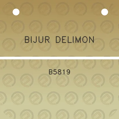 bijur-delimon-b5819