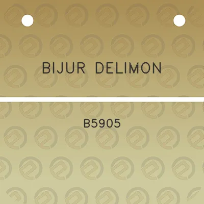 bijur-delimon-b5905