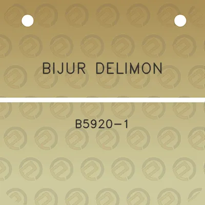 bijur-delimon-b5920-1