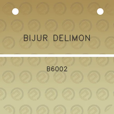 bijur-delimon-b6002