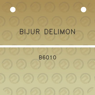 bijur-delimon-b6010