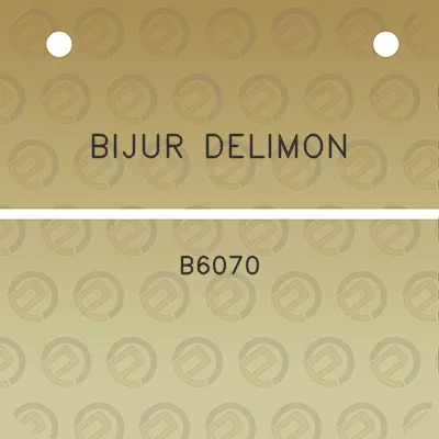 bijur-delimon-b6070