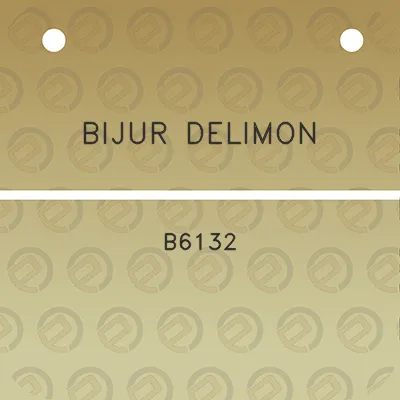 bijur-delimon-b6132