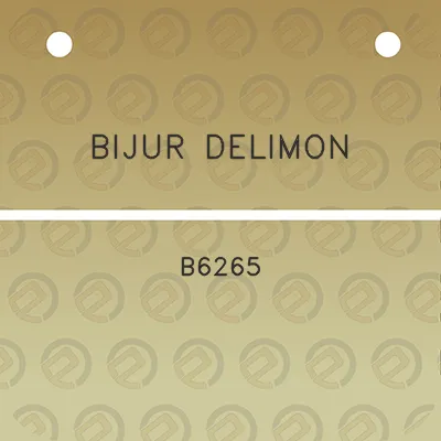 bijur-delimon-b6265