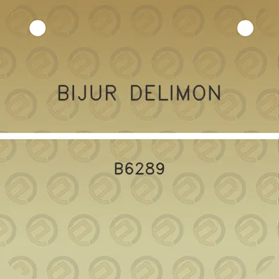 bijur-delimon-b6289