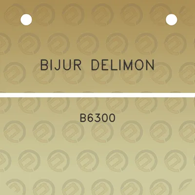 bijur-delimon-b6300