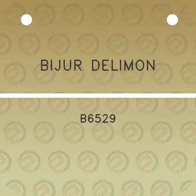 bijur-delimon-b6529