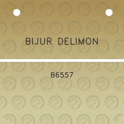 bijur-delimon-b6557