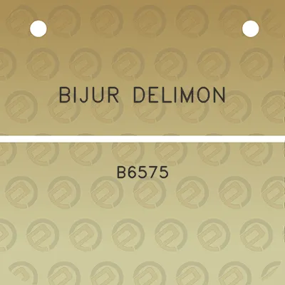 bijur-delimon-b6575