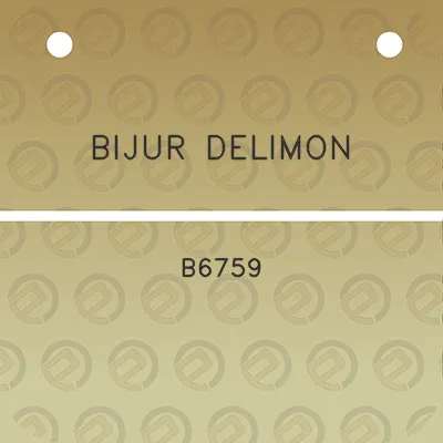 bijur-delimon-b6759