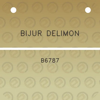 bijur-delimon-b6787