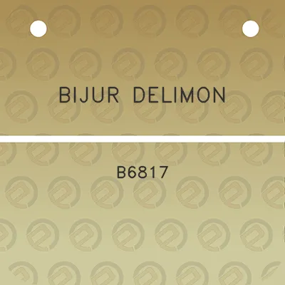 bijur-delimon-b6817