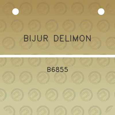 bijur-delimon-b6855