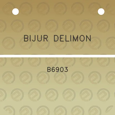 bijur-delimon-b6903