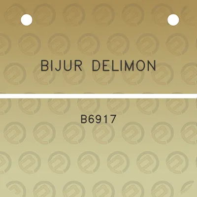 bijur-delimon-b6917