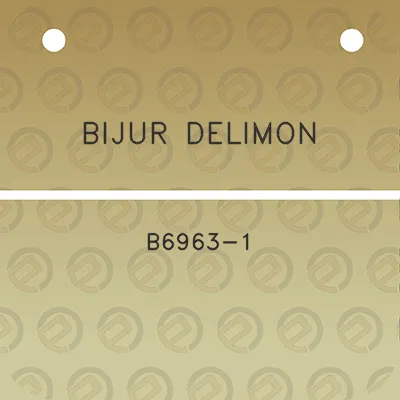 bijur-delimon-b6963-1