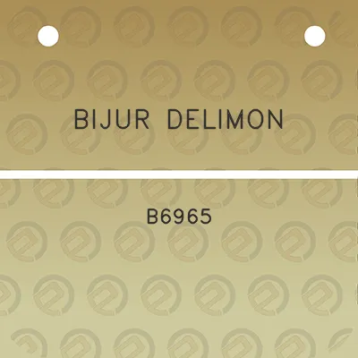 bijur-delimon-b6965