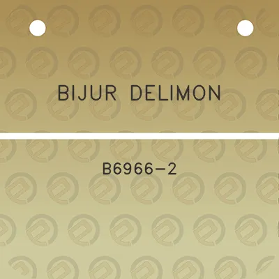 bijur-delimon-b6966-2