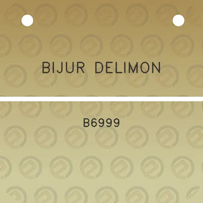 bijur-delimon-b6999