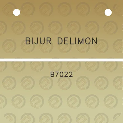 bijur-delimon-b7022