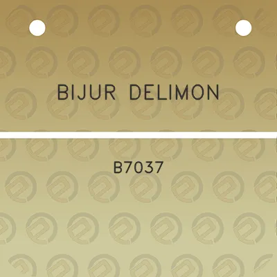 bijur-delimon-b7037