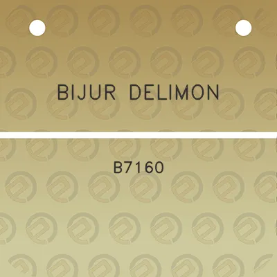 bijur-delimon-b7160