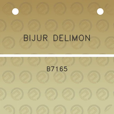 bijur-delimon-b7165