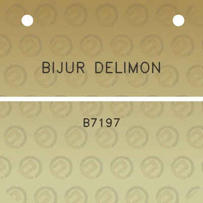 bijur-delimon-b7197