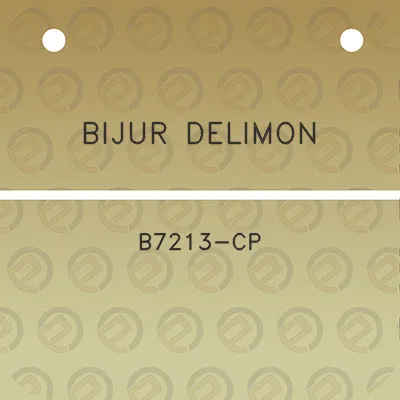 bijur-delimon-b7213-cp