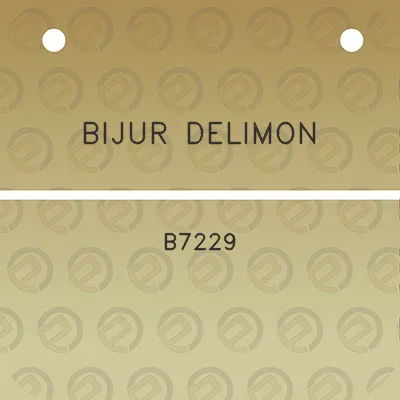 bijur-delimon-b7229