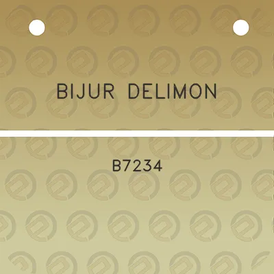 bijur-delimon-b7234