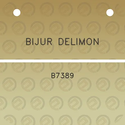 bijur-delimon-b7389