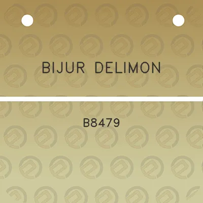 bijur-delimon-b8479