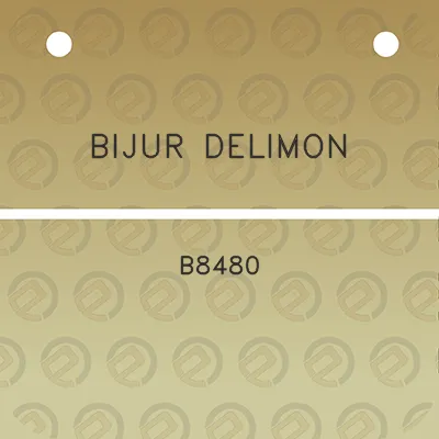 bijur-delimon-b8480