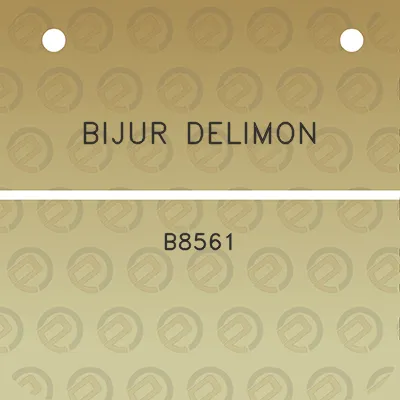 bijur-delimon-b8561