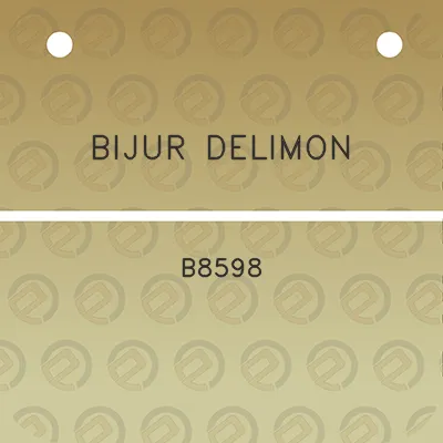 bijur-delimon-b8598