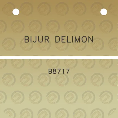 bijur-delimon-b8717