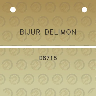 bijur-delimon-b8718