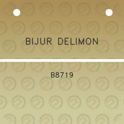 bijur-delimon-b8719