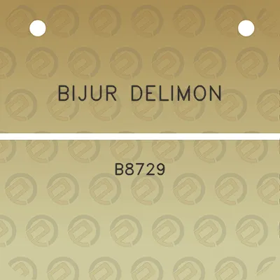 bijur-delimon-b8729