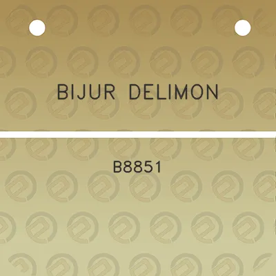 bijur-delimon-b8851