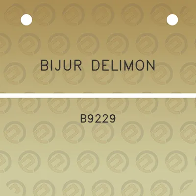 bijur-delimon-b9229