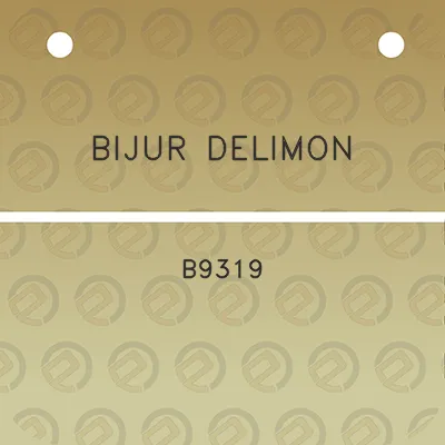 bijur-delimon-b9319