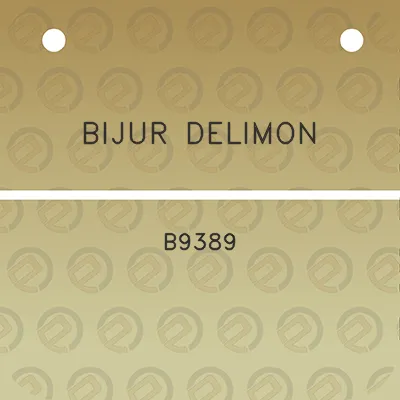 bijur-delimon-b9389