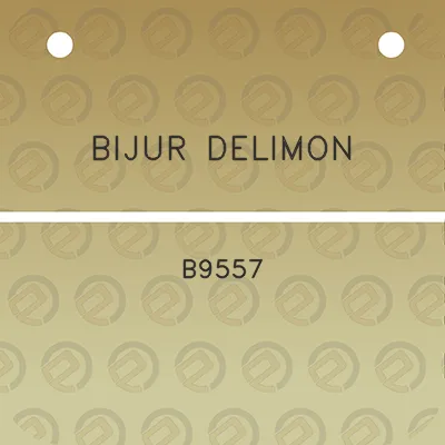 bijur-delimon-b9557